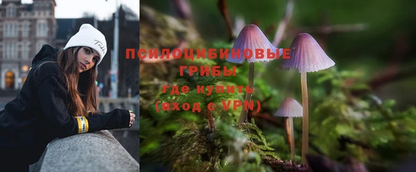 соль ск Бронницы