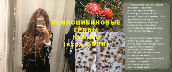 герыч Бородино